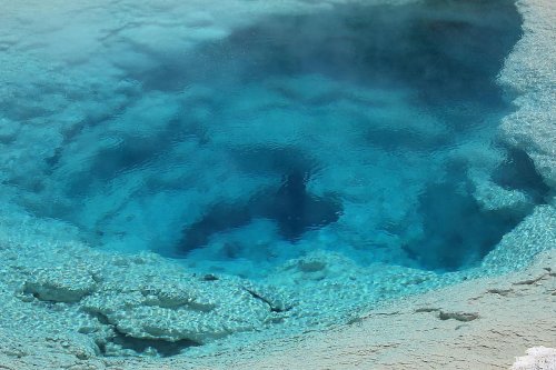 Hydrothermal Vents