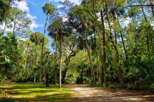 7 Best Things To Do In Ocala National Forest, Florida