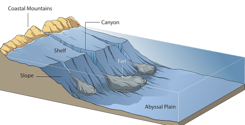 What Are Continental Shelves? | Flipboard