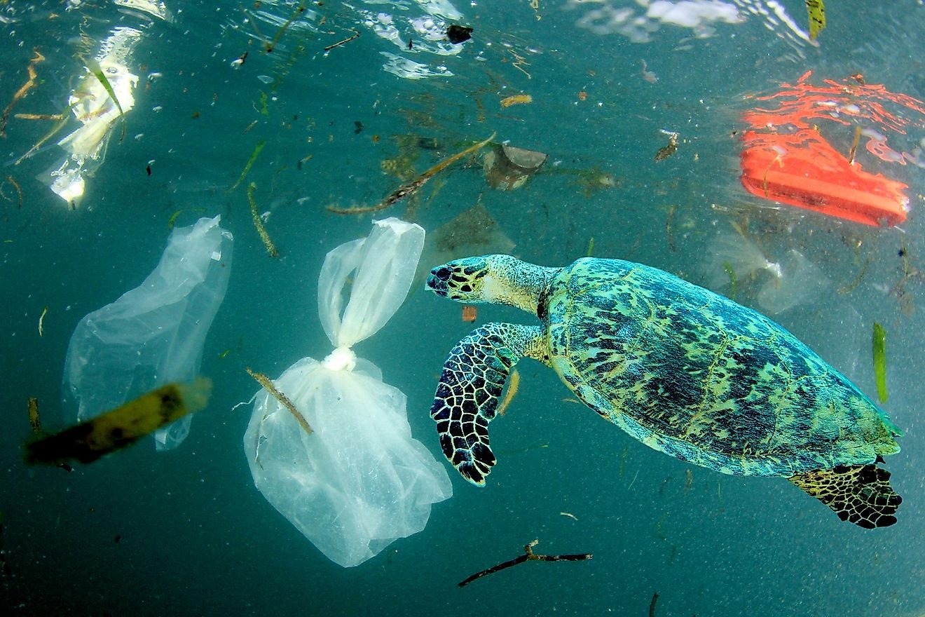How Much Plastic Is In The Ocean?