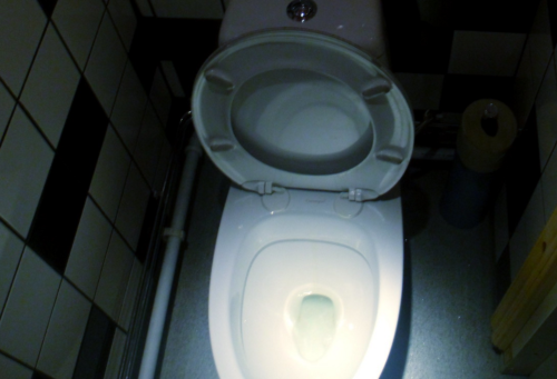 Italy's High Court: Loud Toilet Flush Is Violation Of Human Rights