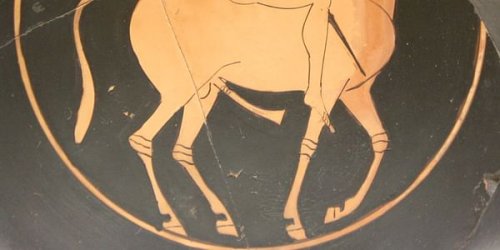 Satyr