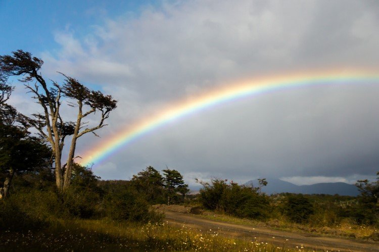 The Best Time to Visit Chile: By Region and Season