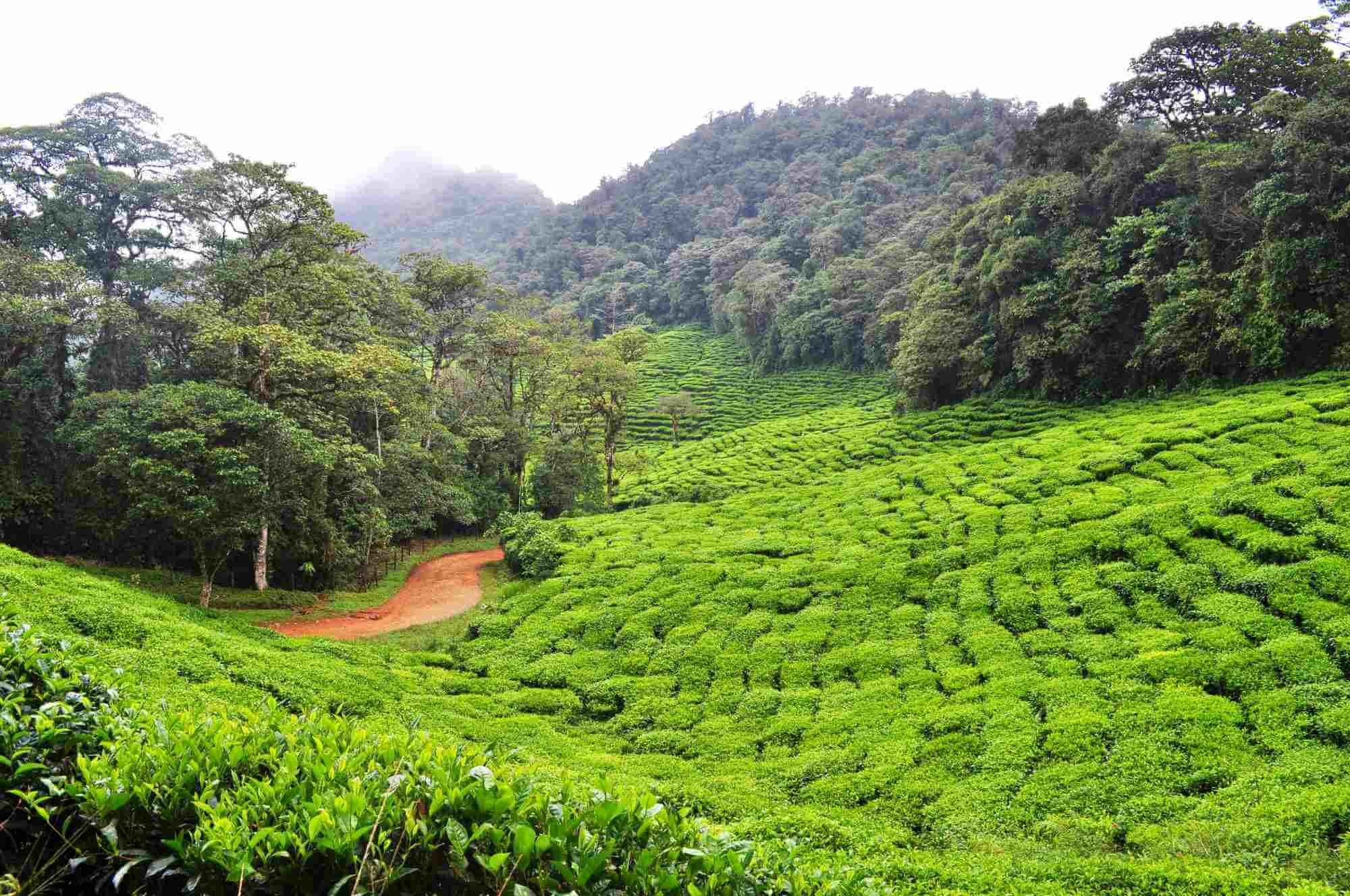 Three Mind-Blowing Colombia Itineraries For One & Two Weeks