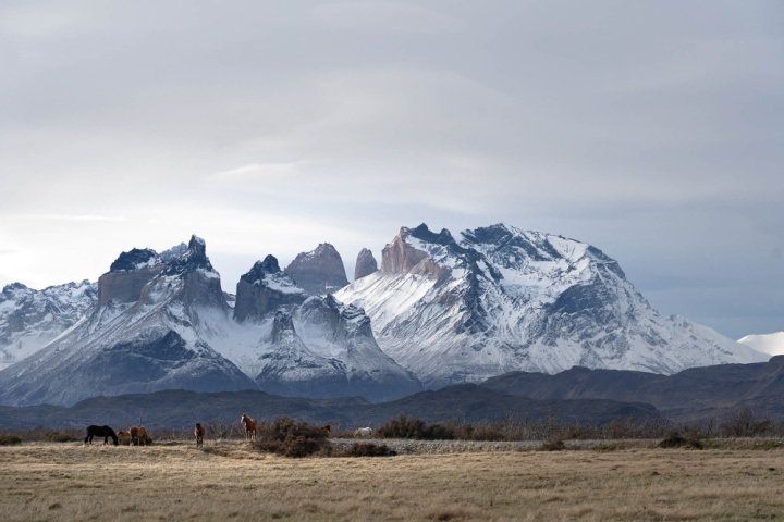 Where is Patagonia? Everything You Need to Know About Chilean and Argentine Patagonia