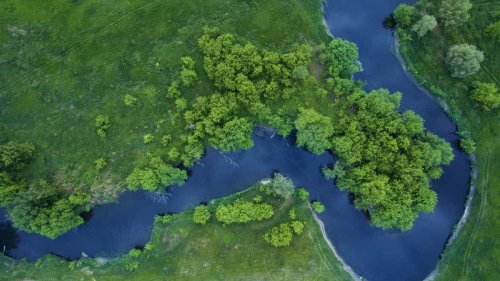 Which country is best for visiting the Amazon Rainforest?