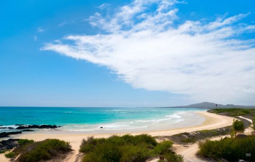 Peru vs Ecuador: Which Should You Pick For Your Next Trip?