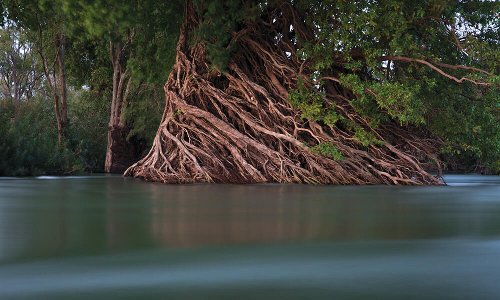 Resilient rivers