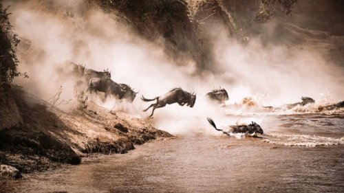 12 Epic African Safaris You Need To Experience At Least Once