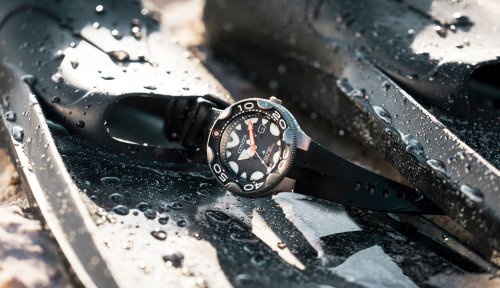 New Citizen Promaster Dive Watches Give Nod To The Orca - Worn & Wound