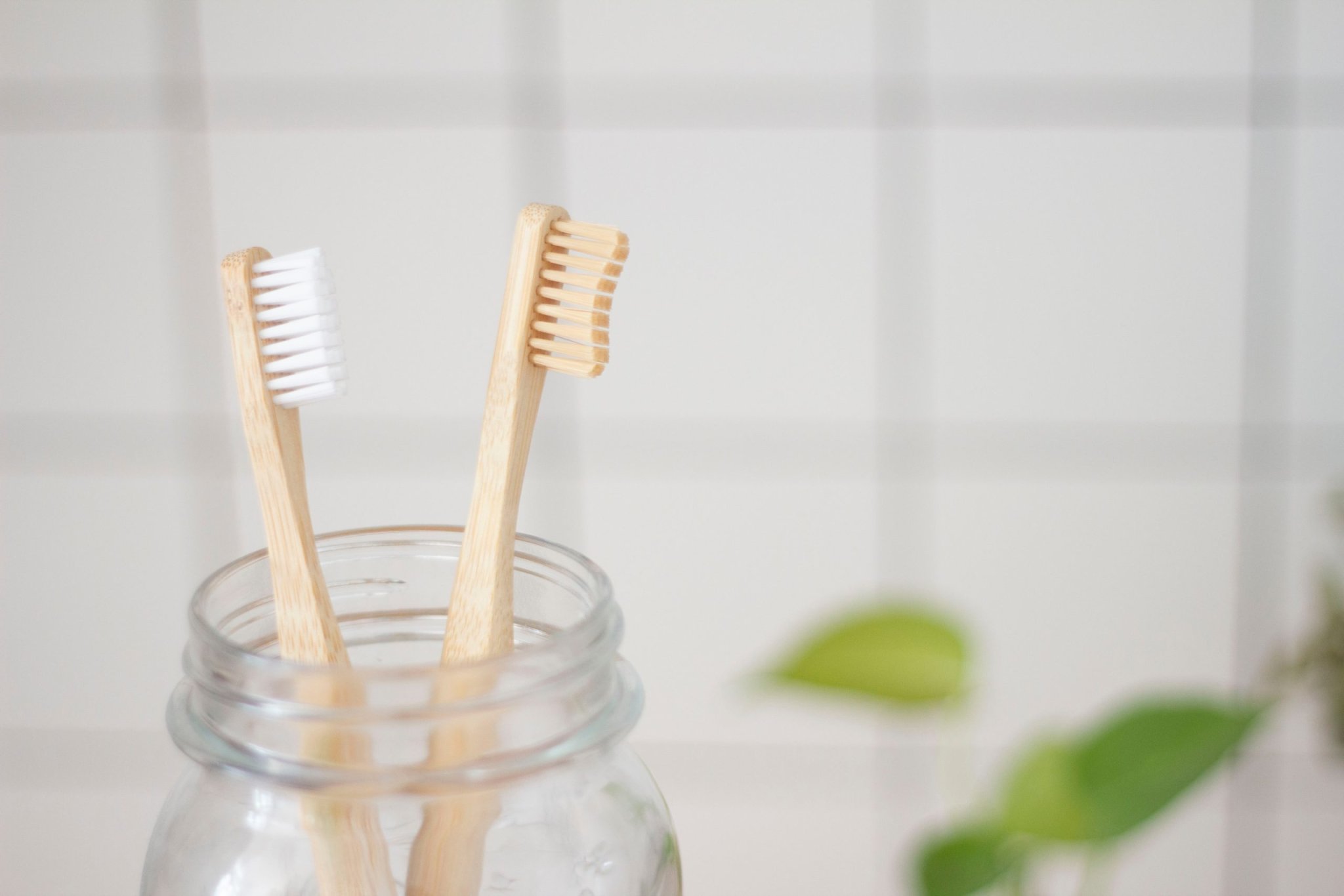 ¿Cuál es el mejor sitio para guardar el cepillo de dientes? Y sí, hay cosas peores que ponerlo cerca del váter