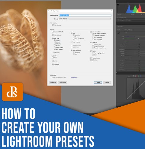 How to Create Your Own Lightroom Presets (Step By Step)