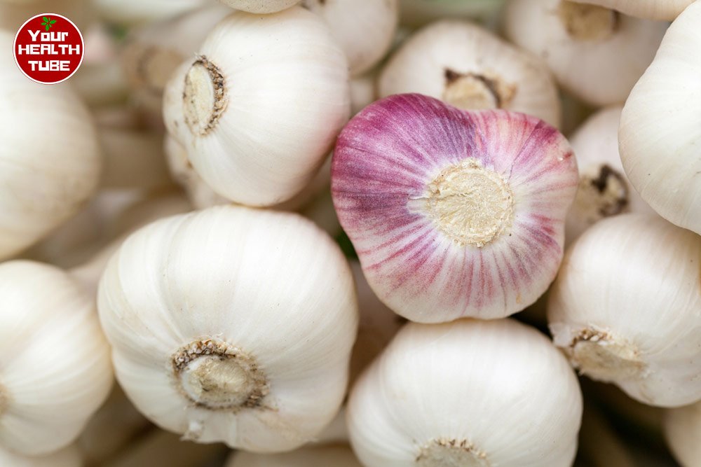 Uses and Benefits of Garlic