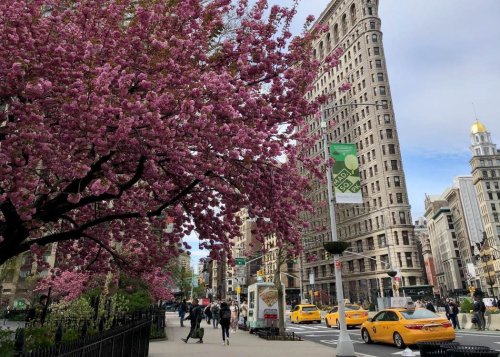21 Most Beautiful Places in New York City That Are a Must-Visit