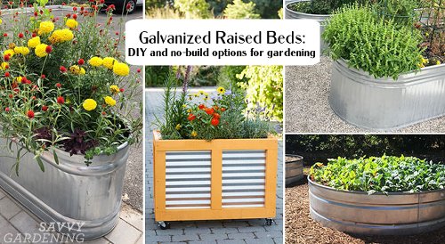 Galvanized raised beds: DIY and no-build options for gardening - Flipboard