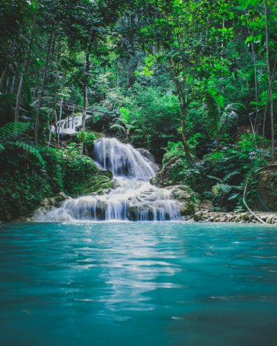 Unlocking Inner Peace: The Benefits of Reiki Nature Meditation