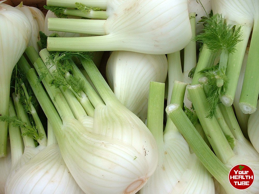 Fennel Benefits: Women…And Men Will Love This Food!