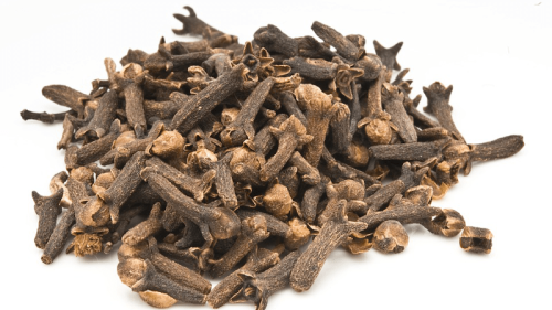 Clove Oil: Ideal Weapon Against Mosquitoes