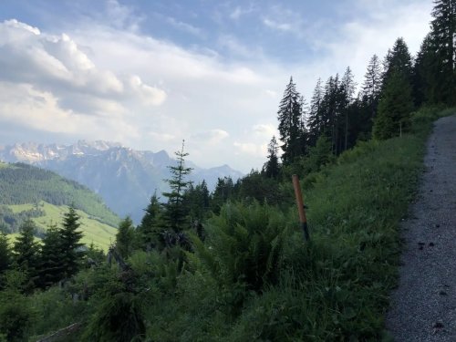 Wanderung auf den Ornach bei Oberjoch