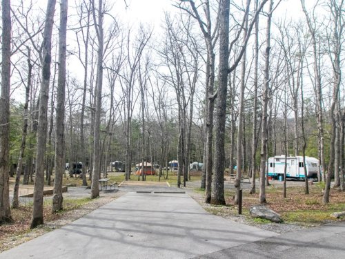 Is It Safe to Camp in the Smoky Mountains? A Local Weighs In