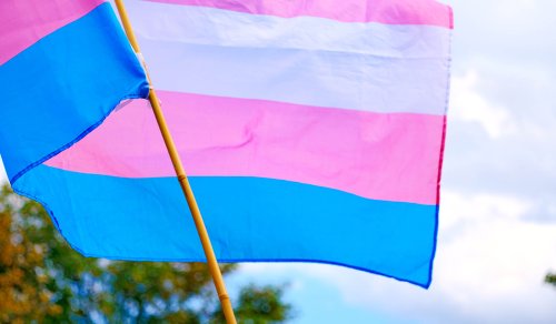 Leading Trans Medical Org Scrubs Website of Child Gender-Transition Guidance after Exposé