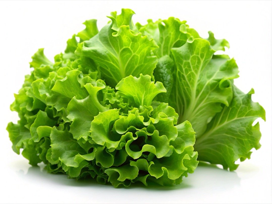 I've stopped eating pre-bagged lettuce in the midst of an "undermined" FDA and an "almost guaranteed" looming leafy greens E. coli outbreak