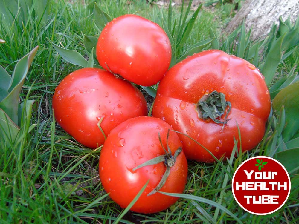 Tomatoes Health Benefits: World’s Healthiest Foods!