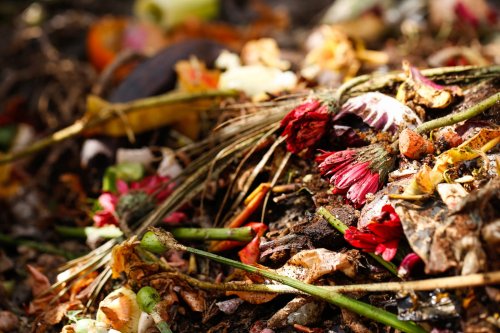 7 Basic Composting Secrets for Better Results