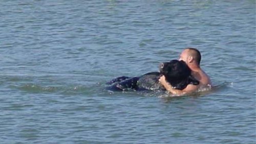 Florida Man Saves Black Bear From Drowning