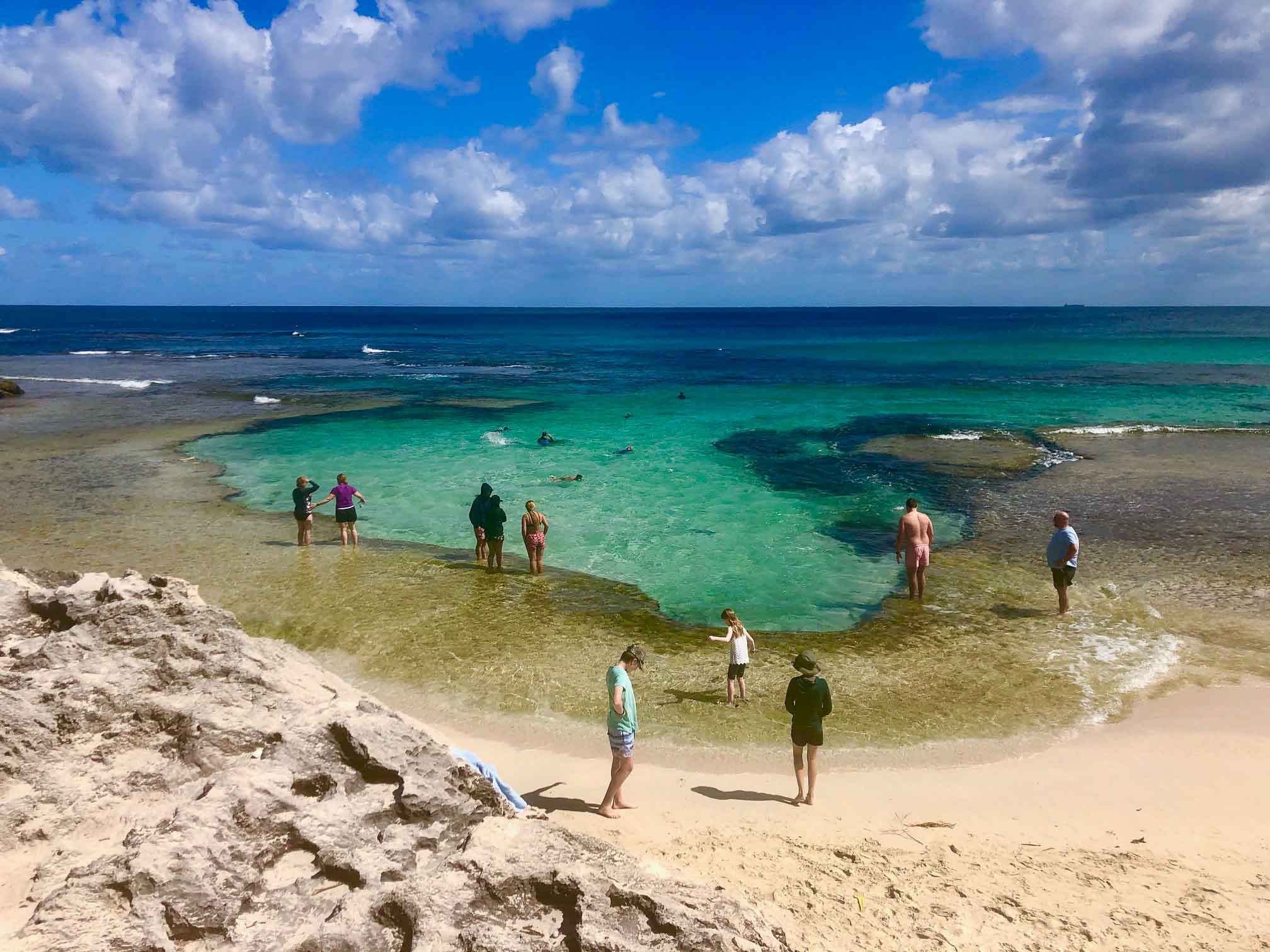 How to have the Best Rottnest Island Day Trip from a Local