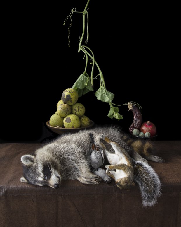 The Beautiful and Grotesque Collide in Haunting Still Lifes