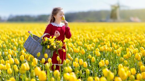   The Safest Countries in the World, According to Data