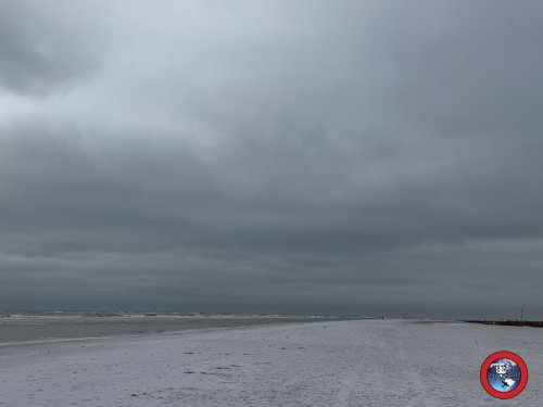 Things to Do in Sarasota