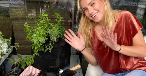 What Gardening Does for Your Brain: A Comprehensive and Simple Exploration