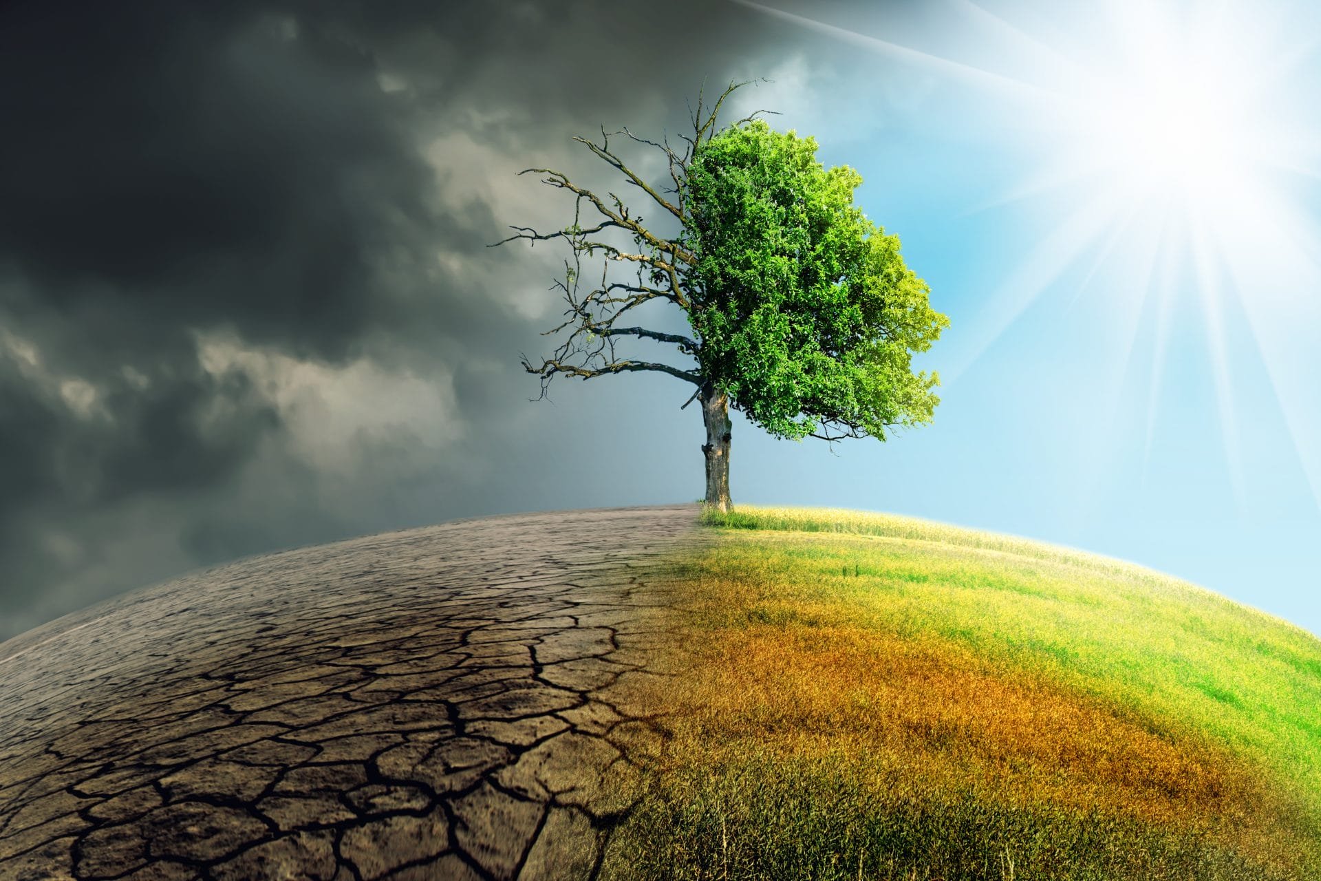 CLIMATE CHANGE : Updated Weekly cover image