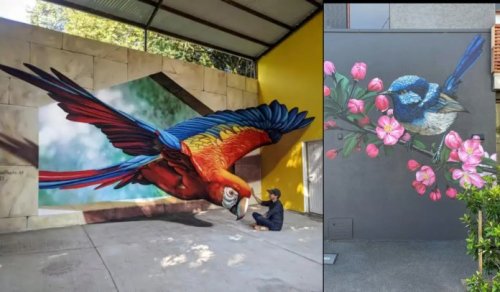 12 Brilliant Bird Murals That Bring Nature to the Streets - STREET ART UTOPIA