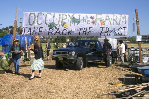 Revisiting the ‘Occupy the Farm’ doc: UC Berkeley farm saved in 2012 faces new threat