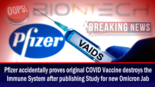 Nachdem eine Studie für die neue Omikron-Impfung veröffentlicht wurde, beweist Pfizer versehentlich, dass der ursprüngliche COVID-Impfstoff das Immunsystem zerstört