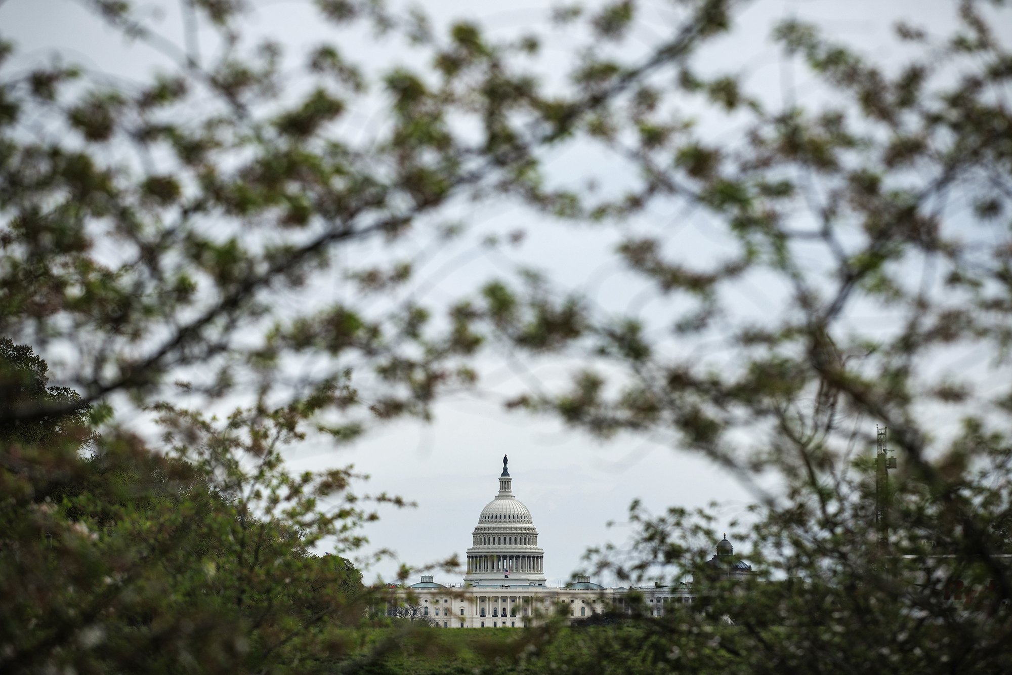 Californians would lose AI protections under bill advancing in Congress