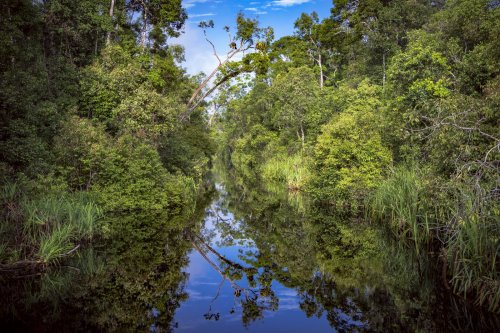 Three River Communities, Worlds Apart, Tell Stories of Indigeneity in the Age of the Anthropocene