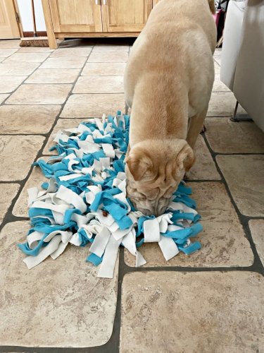 DIY – Fabriquer un “snuffle mat” ou tapis de fouille pour chien