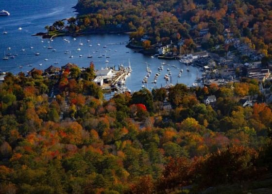 Think You Know the Most Liberal States in the U.S.? The Results Might Surprise You