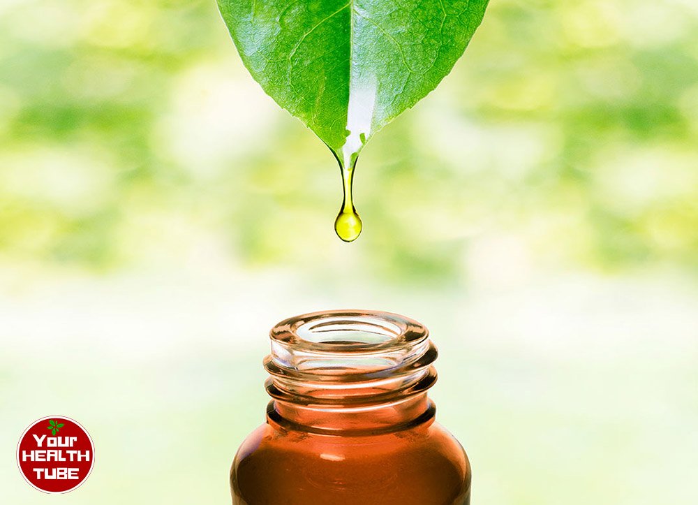Tea Tree Oil: Health Benefits, Side Effects, Interactions and Dosing