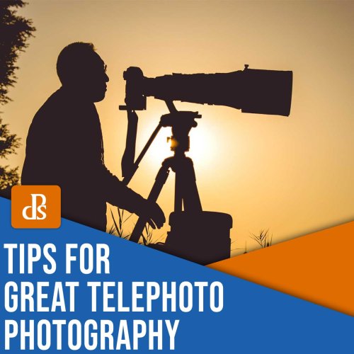 9 Tips for Great Telephoto Photography (+ Examples)