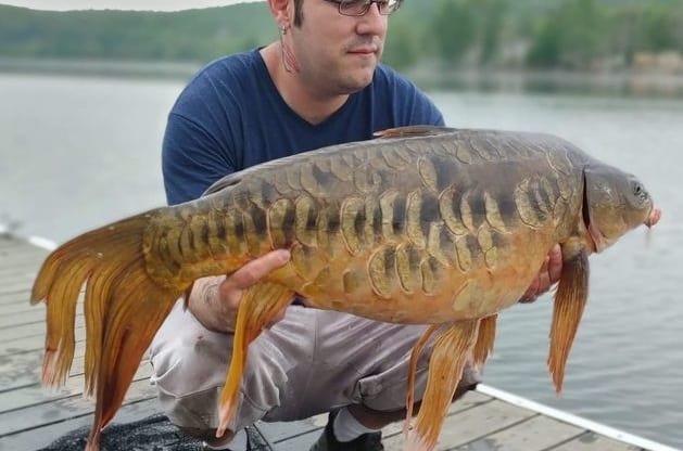 Connecticut Man Reels In Extremely Rare Fantail Mirror Carp
