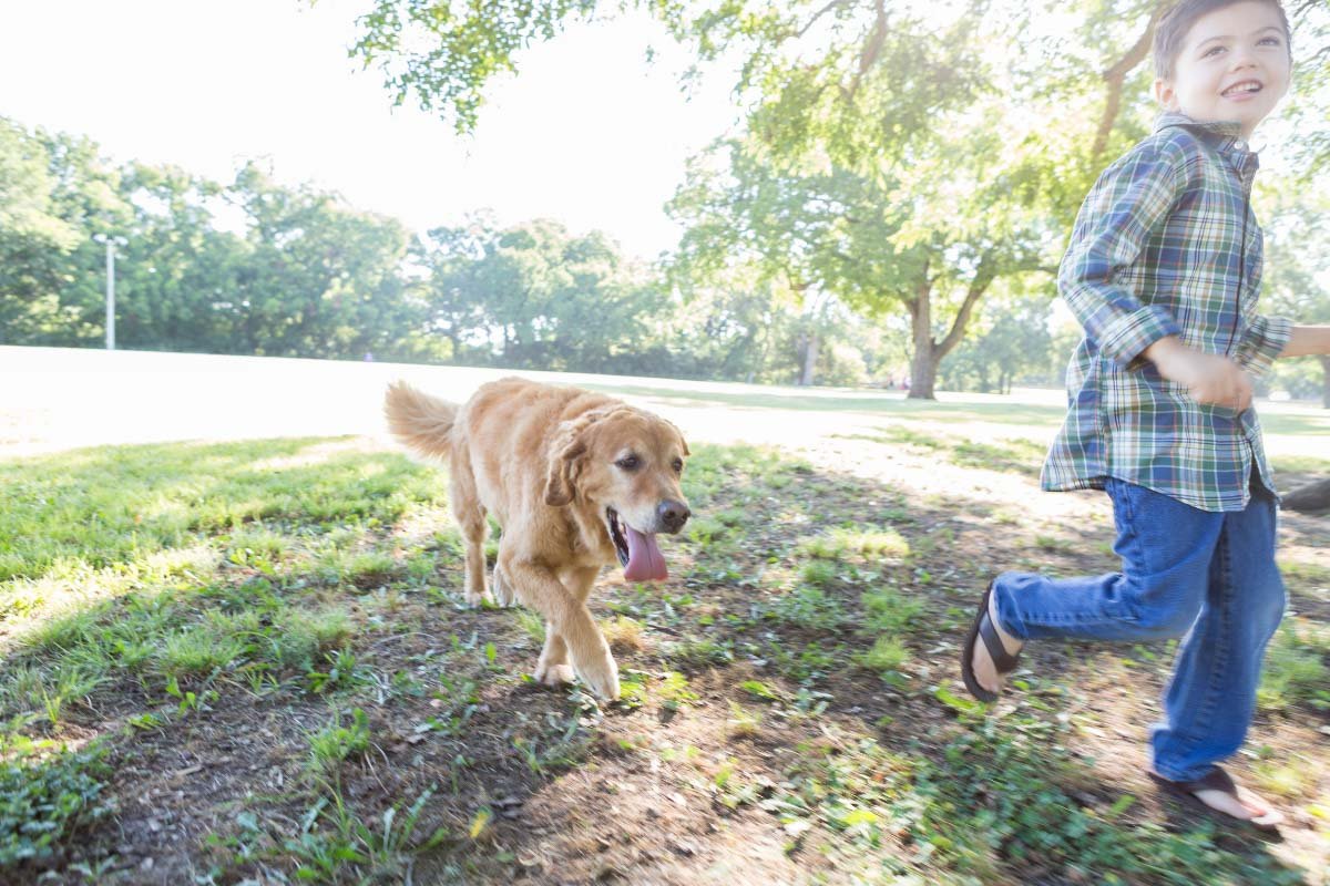 Why Does My Dog Follow Me Everywhere? 10 Reasons