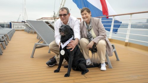 Kreuzfahrt Reisen: Dieser Hund hat eine Medaille auf See verdient