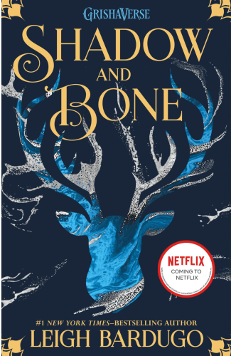 Shadow and Bone Netflix Show Review