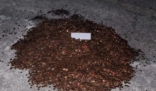 US Dept of Labor sues company that dumped 91,500 pennies onto ex-employee's driveway as final payment