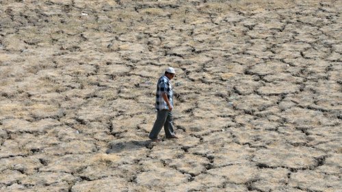 Earth’s landmasses lost trillions of tons of water this century